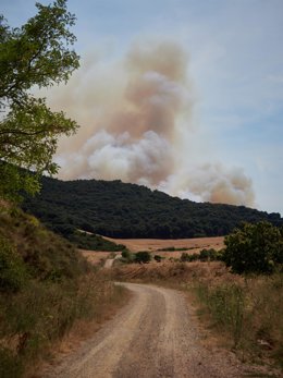 Imagen del incendio declarado entre Enériz, Muruzábal, Añorbe y Obanos