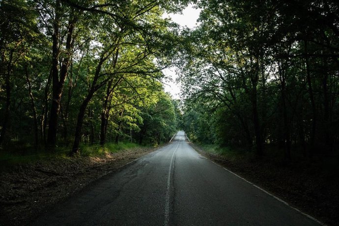 Archivo - Uno de los lugares donde se desarrollará el proyecto Forgarero.