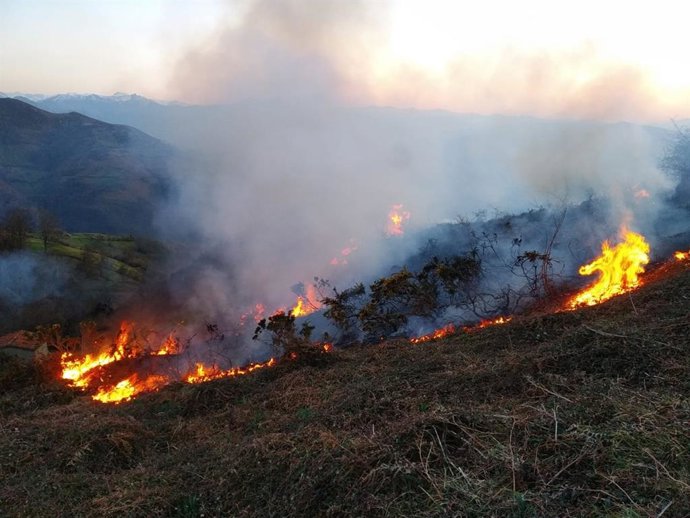 Archivo - Incendio forestal en Asturias