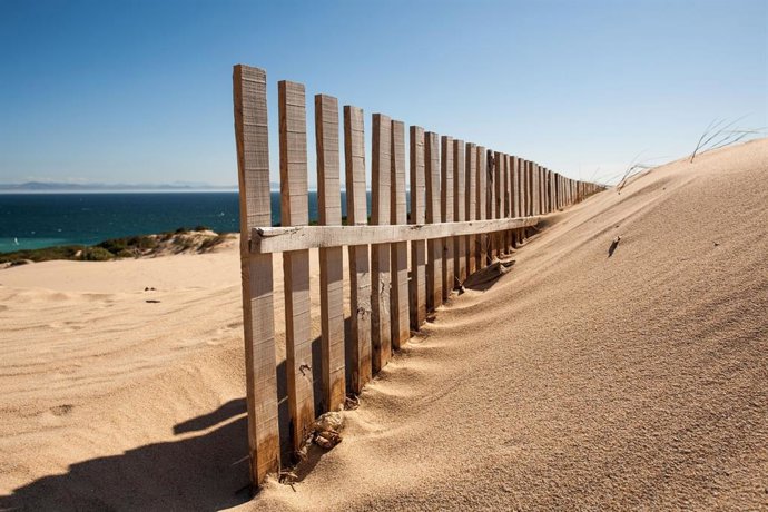 Dunas en el litoral andaluz.