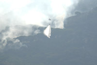 El incendio de Tarifa (Cádiz) sigue activo sin que los evacuados puedan volver a sus ubicaciones iniciales