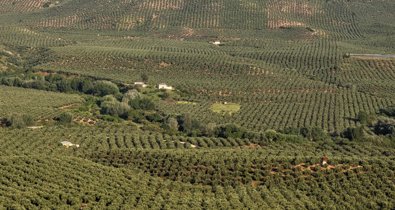 Es Andalucía - Jaén