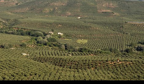 Es Andalucía - Jaén