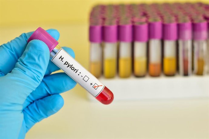 Archivo - Arquivo - Helicobacter pylori