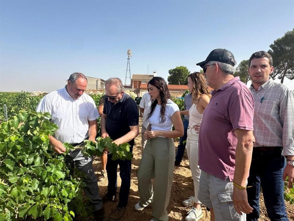 El consejero de Agricultura, Ganadería y Desarrollo Rural, Julián Martínez Lizán, visita un viñedo afectado por pedrisco.