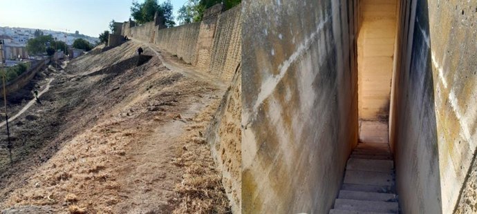 Limpieza en las laderas del castillo de Alcalá de Guadaíra.
