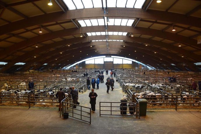 Archivo - Mercado de Ganado de Siero.