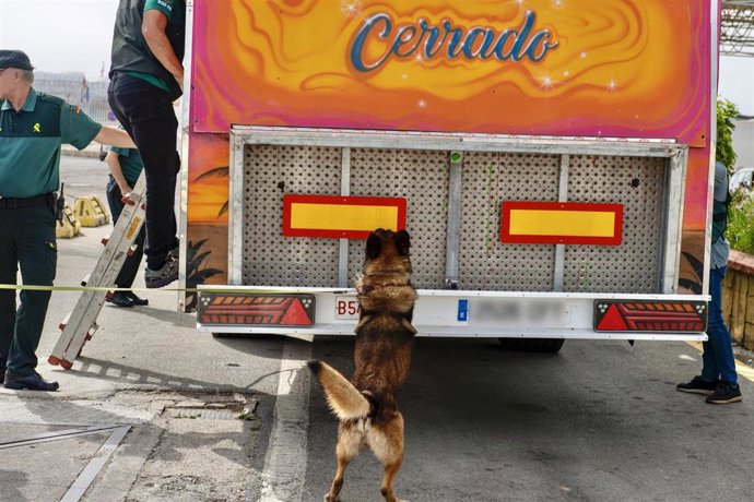 Un perro de la Guardia Civil registra un camión durante la 'Operación Feriante', en el puerto de Ceuta