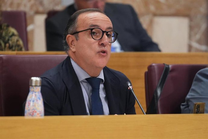 Archivo - El concejal del grupo socialista en el Ayuntamiento de Sevilla, Francisco Javier Páez, interviene en una sesión plenaria. 