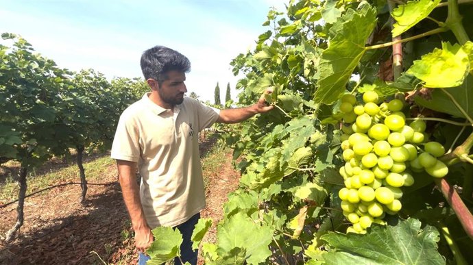 Archivo - Agricultor ecológico en una imagen de archivo