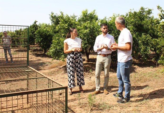 Castelló cuenta ya con las primeras jaulas para reducir la superpoblación de jabalíes en varios puntos de la ciudad