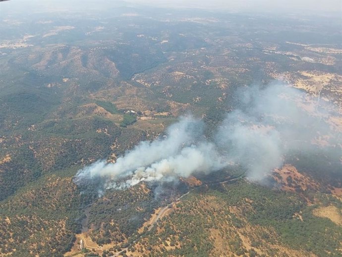 Incendio declarado en el paraje Las Lapas, en Constantina (Sevilla).