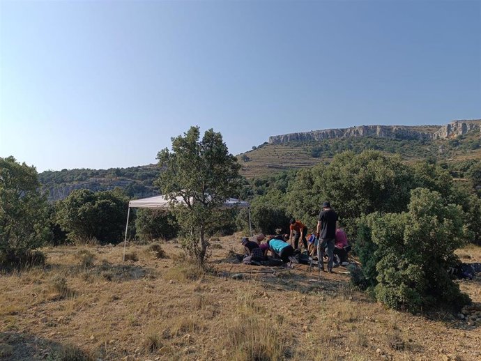 Vilafranca (Castellón) inicia la cuarta campaña de excavaciones para localizar combatientes desaparecidos