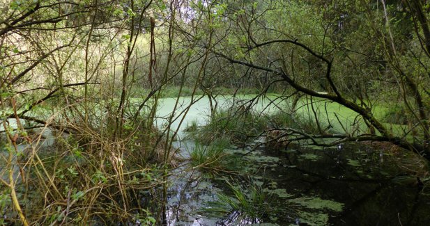 Asturias