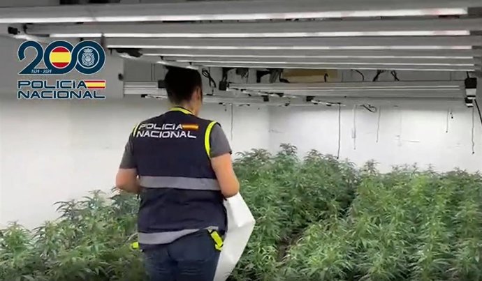 Vídeo de la noticia