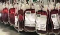 Andalucía registra casi 163.000 donaciones de sangre y plasma hasta julio, cifra similar al mismo periodo de 2024