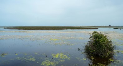 Huelva