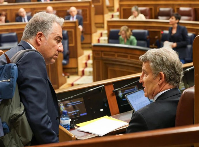 Archivo - El vicesecretario general de Política Autonómica del PP, Elías Bendodo, y el presidente del PP, Alberto Núñez Feijóo, en una imagen de archivo en el Congreso de los Diputados. 