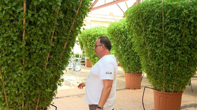 Vídeo de la noticia