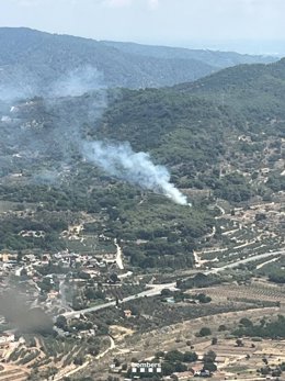 Fuego en la zona de Les Barqueres en el municipio tarraconense de Alforja