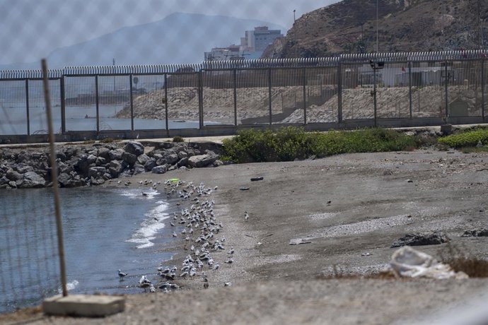 Archivo - Flotadores en la playa del Tarajal, a 4 de agosto de 2024, en Ceuta (España). Los socorristas de la empresa de vigilancia Marsave han rescatado a dos menores migrantes que trataban de entrar a nado en Ceuta. Al menos una veintena de personas, en