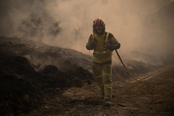 31 July 2025, Portugal, Parada Monte: firefighters continue working in the Parada Monte area, to extinguish the fire. Photo: Elena Fernandez/ZUMA Press Wire/dpa
