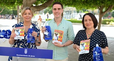 Jerez al día