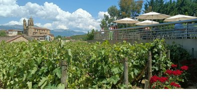 EpAgro - Agricultura