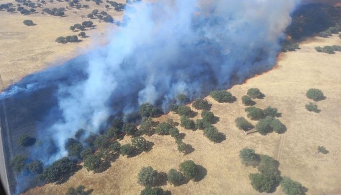 Cerca de una treintena de medios trabaja en la extinción de un incendio en Ciudad Rodrigo (Salamanca)