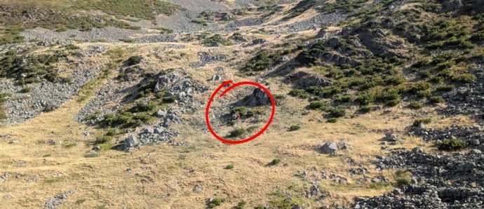 El Grupo de Rescate de la Junta de Castilla y León auxilia a un senderista en Pradoluengo (Burgos)