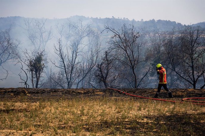 07 August 2025, France, Aude: A firefighter works to extinguish the forest fire. The fires, fuelled by drought and fanned by the wind, have affected more than 16,000 hectares of land, according to the local prefecture. Photo: Marc Asensio Clupes/ZUMA Pres