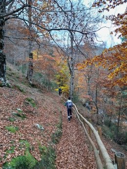 Medio Ambiente propone paseos interpretativos, una marcha nocturna, una ruta musical y actividades el fin de semana