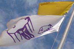 Archivo - Bandera avisando de medusas 