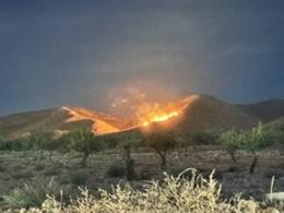 Efectivos adscritos al Plan Infomur intervienen en un conato de incendio forestal declarado en La Sierra de Los Hermanillos de Jumilla