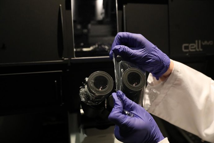 Archivo - Imagen de archivo de un microscopio.