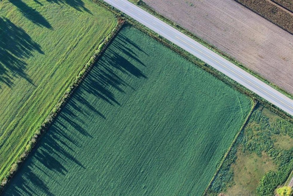 Archivo cartográfico.