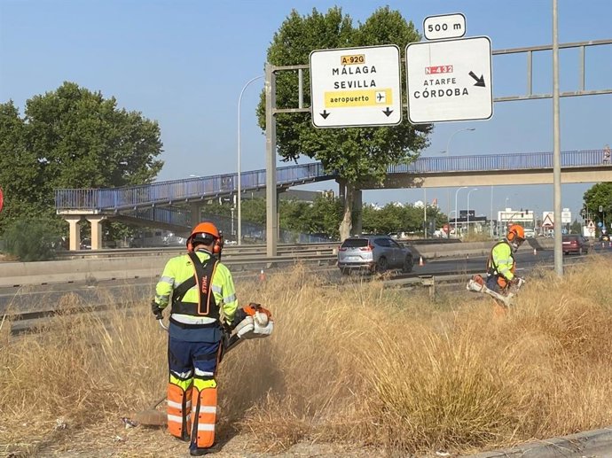 Ayuntamiento de Granada intensifica su plan de desbroce con una actuación en la avenida de Andalucía.