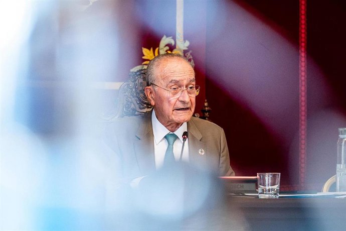 El alcalde de Málaga, Francisco de la Torre, durante un pleno