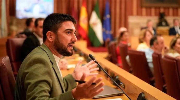 El portavoz del grupo municipal con Podemos-Izquierda Unida en el Ayuntamiento de Sevilla, Ismael Sánchez.