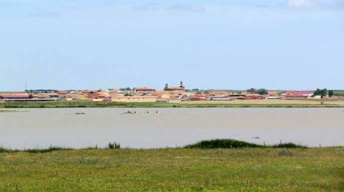 Archivo - Lagunas de Villafáfila