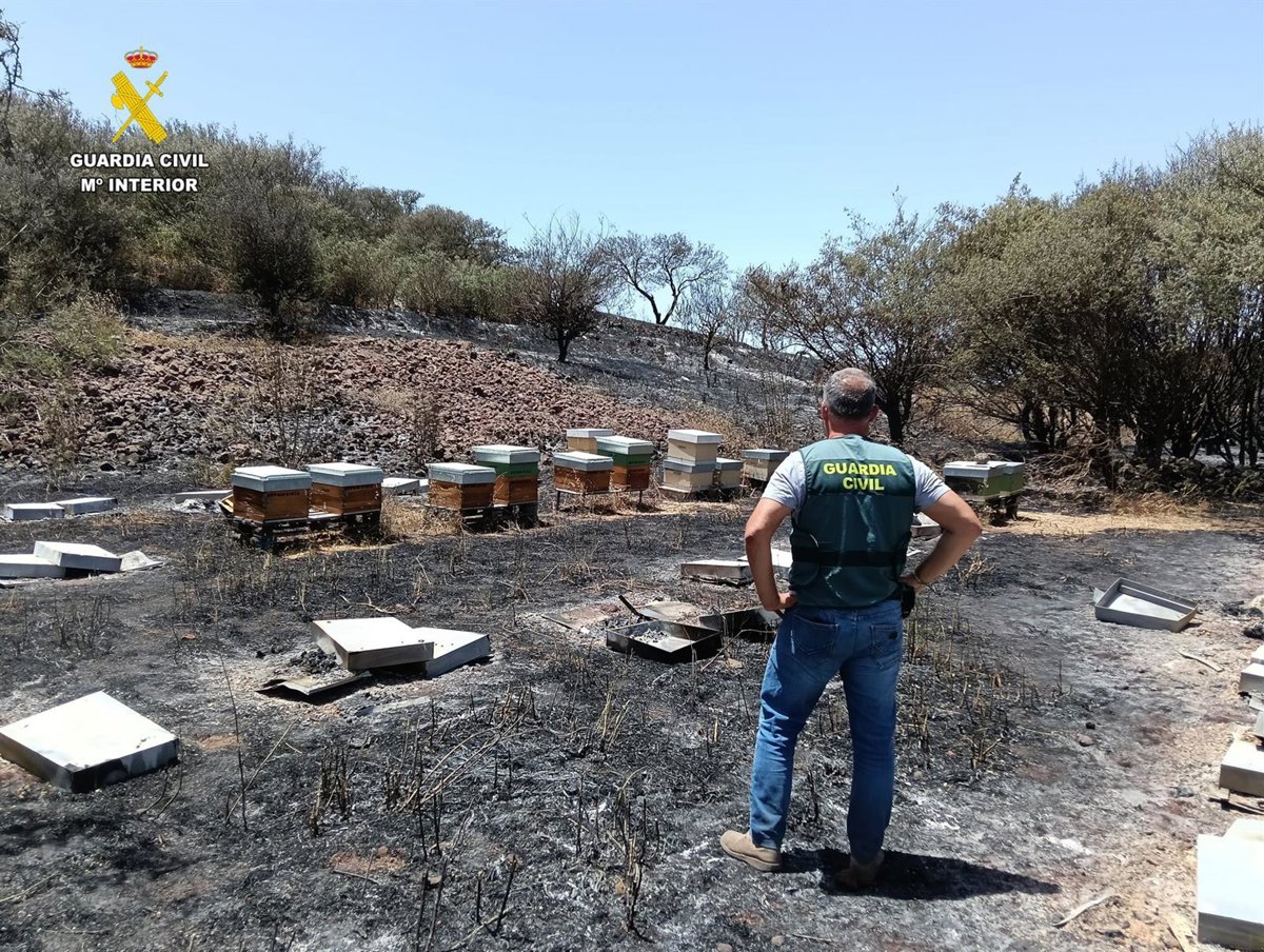 Investigan al presunto autor del incendio iniciado en El Tanque (Tenerife) el pasado 28 de julio