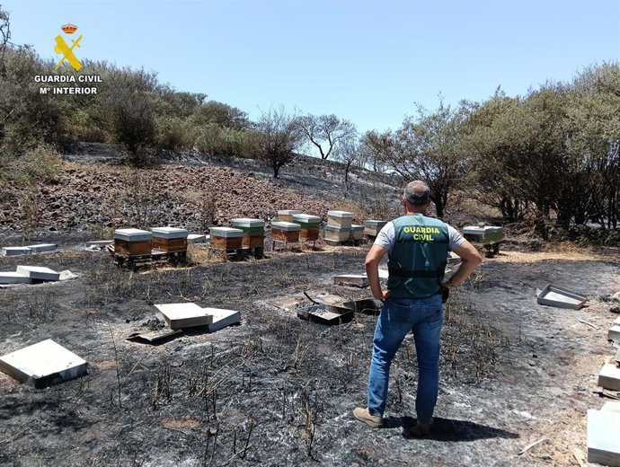 Suc.- Investigan al presunto autor del incendio iniciado en El Tanque (Tenerife) el pasado 28 de julio