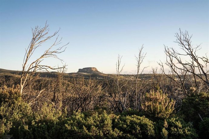 Cierre de de red insular de senderos y pistas forestales en La Gomera ante el riesgo de incendios y altas temperaturas