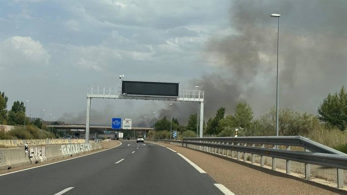 Un incendio en una chopera entre la VA-30 y la calle del Arca Real de Valladolid moviliza a los Bomberos