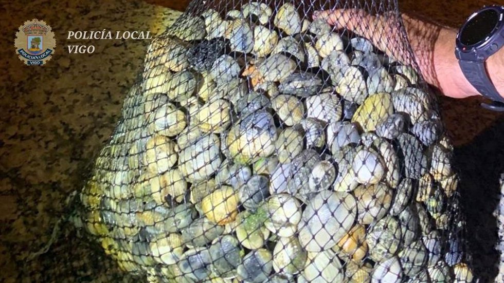 Interceptadas en Vigo cuatro mariscadoras furtivas con más de nueve kilos de almejas y berberechos.