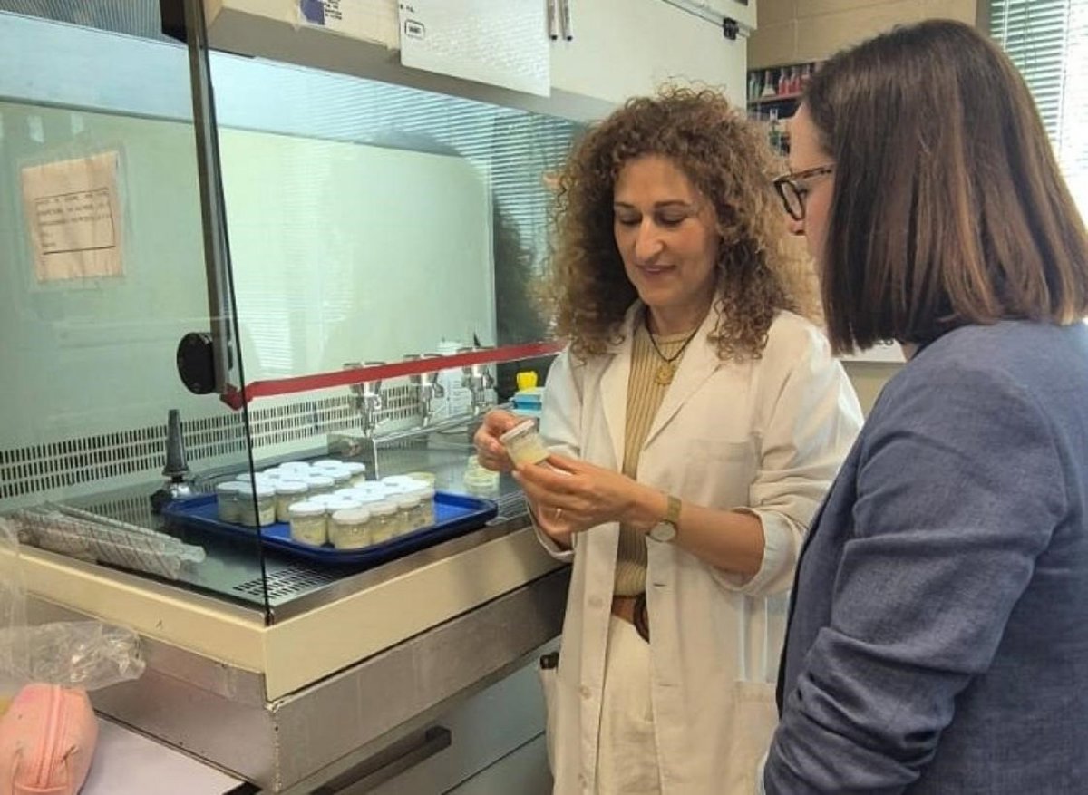 C-LM financia un proyecto de investigación para la mejora de análogos lácteos vegetales