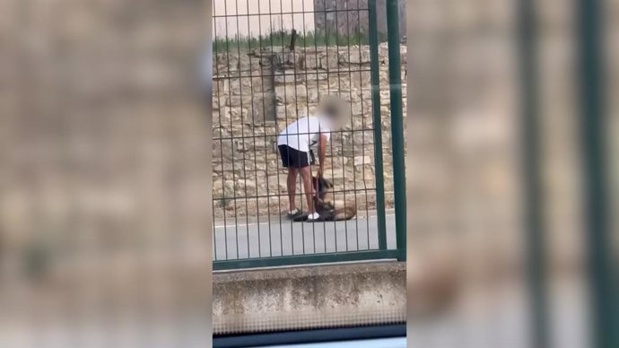 Una imatge del vídeo