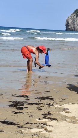Socorrista comprueba la presencia de medusas en Berria