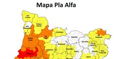 Aldia Gent