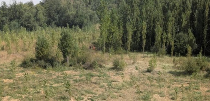 O Grupo de Resgate da Junta de Castilla y León resgata um homem indisposto em Villanueva del Río (Palencia).